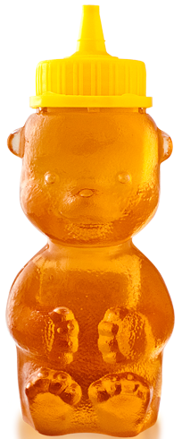Wildflower Honey Bear - 250g